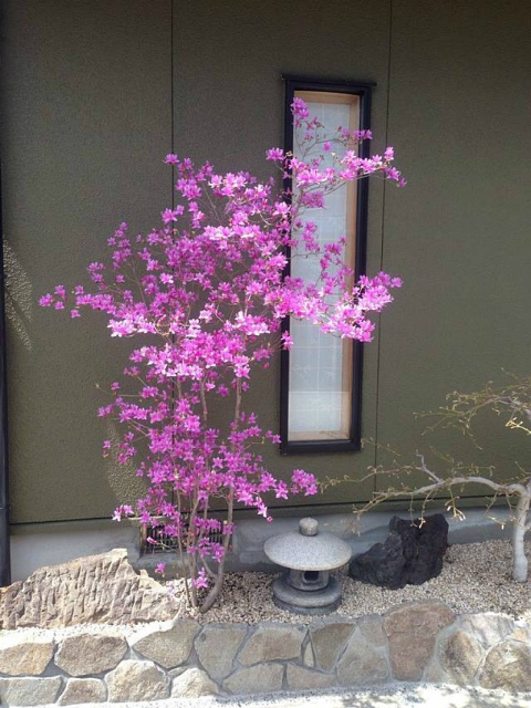 作品集・葉月園